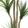 Dracaena  Np_28_155  Ύψος 155cm Newplan