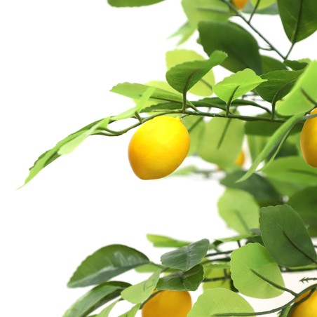 Lemon Tree  Np_30_170  Ύψος 170cm Newplan