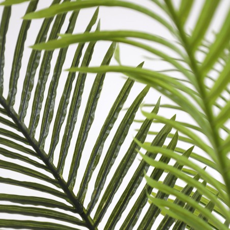 Palm Tree  Np5501_210_22  Ύψος 210cm Newplan