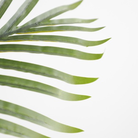 Palm Tree  Np5501_210_22  Ύψος 210cm Newplan
