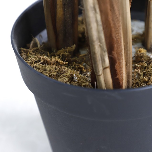 Palm Tree  Np5501_210_22  Ύψος 210cm Newplan