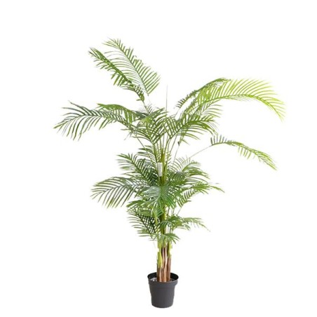 Palm Tree  Np5502_180_22   Ύψος 180cm Newplan