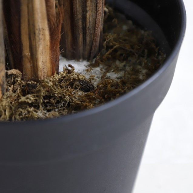 Palm Tree  Np5502_180_22   Ύψος 180cm Newplan