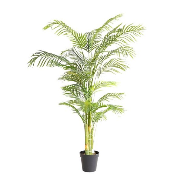 Palm Tree  Np5506_180_22  Ύψος 180cm Newplan