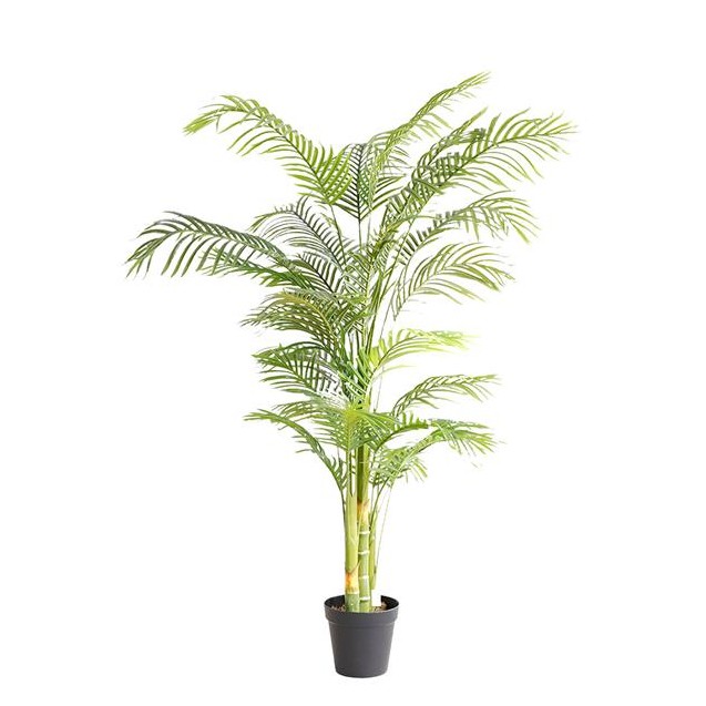 Palm Tree  Np5506_180_22  Ύψος 180cm Newplan
