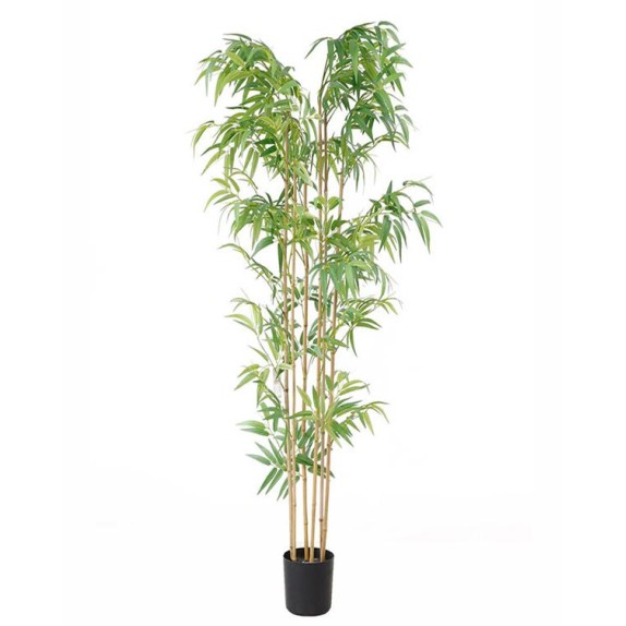 Bamboo  Np5801_180_22_Uv  Ύψος 180cm Newplan