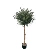 Olive Tree Np5807_150_22_Uv Ύψος 150cm Newplan
