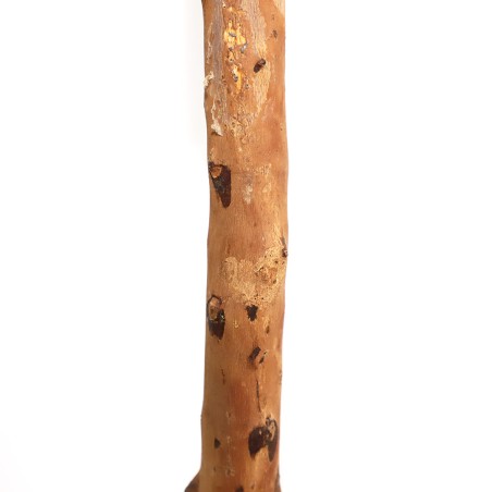 Olive Tree Np5807_150_22_Uv Ύψος 150cm Newplan