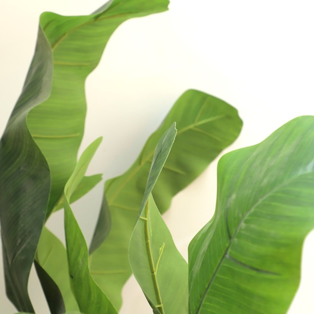 Banana Tree Np707_240  Ύψος 240cm Newplan