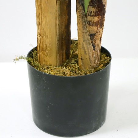 Banana Tree Np710_205  Ύψος 205cm Newplan