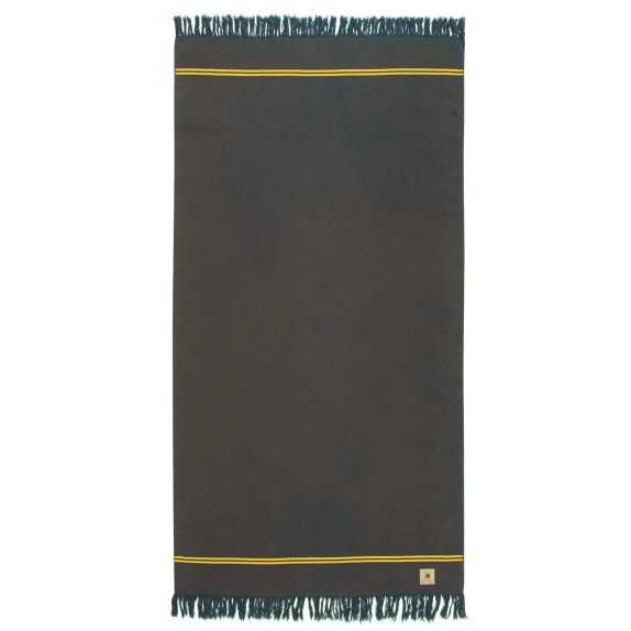 Πετσέτα Θαλάσσης Polo Club 3519 80x170