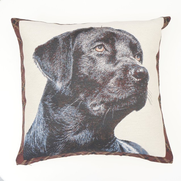 Μαξιλαροθήκη Διακόσμησης Dimeco Μονής Όψης...