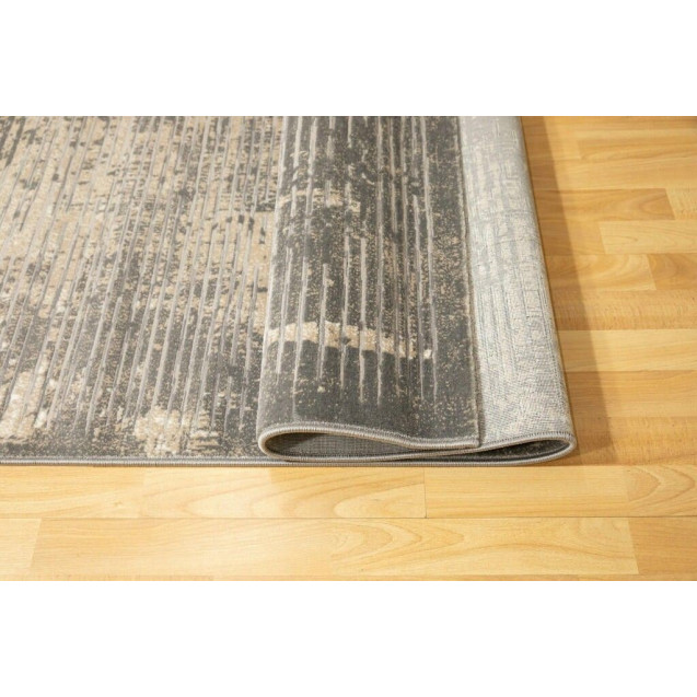 Χαλί Ezzo Venice 8131ACD 200x290