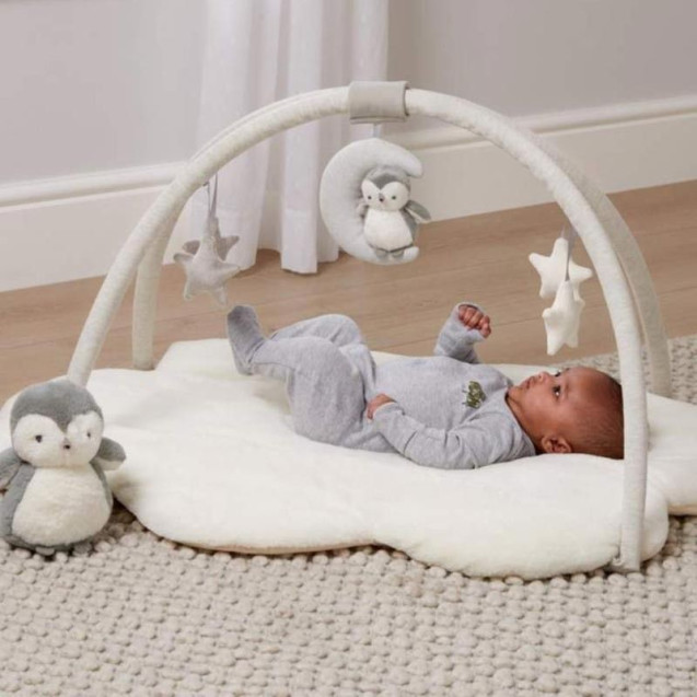 Εκπαιδευτικό Γυμναστήριο Mamas & Papas Wish...