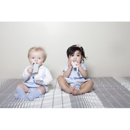 Μασητικό Nibbling Crown Grey BR74221