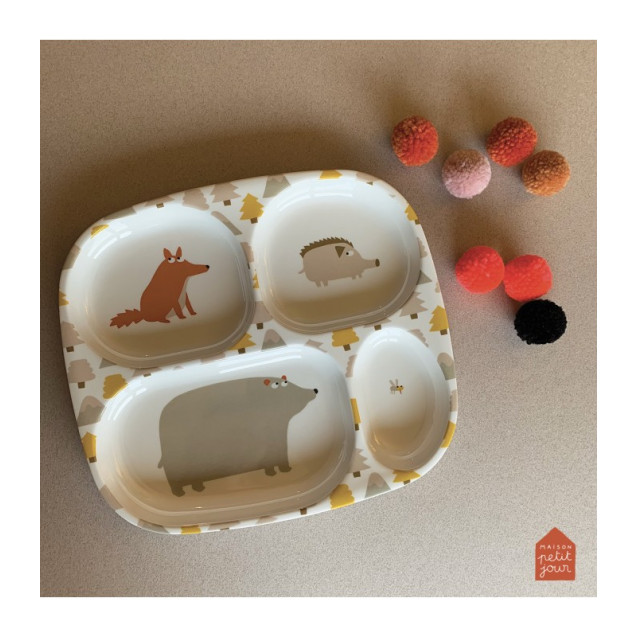 Δισκος  Ρηχος Με 4 Χωρισματα 21Χ24 Aventure -...