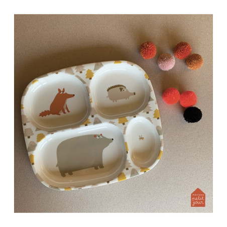 Δισκος  Ρηχος Με 4 Χωρισματα 21Χ24 Aventure - Petιτ Jour Paris