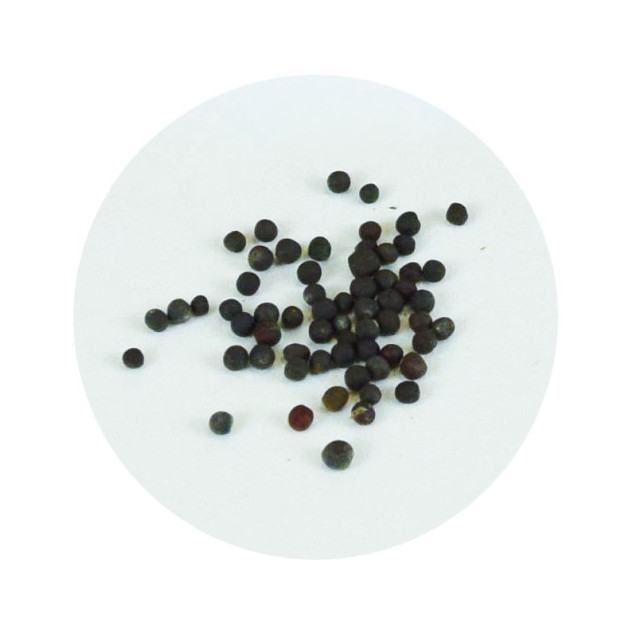 Γλαστρακι Με Σπορους + Λουτρινο Πασχαλιτσα