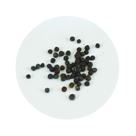 Γλαστρακι Με Σπορους + Λουτρινο Πασχαλιτσα