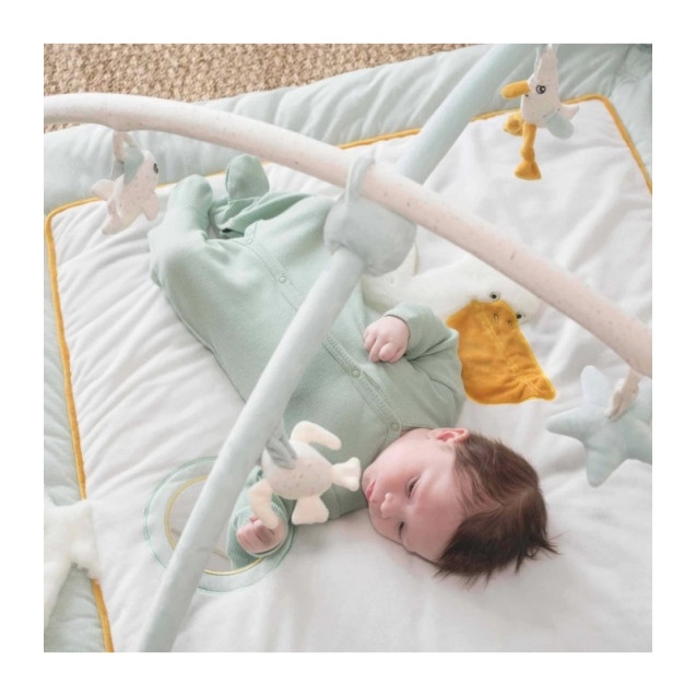 Γυμναστηριο 100 X 100 Nova Trois Kilos Sept