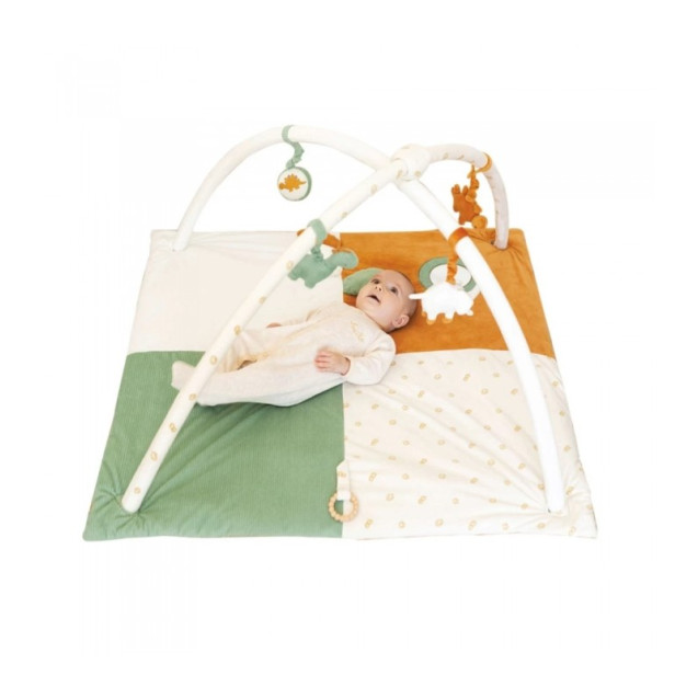 Γυμναστήριο 100 X 100  Diplododo Trois Kilos Sept