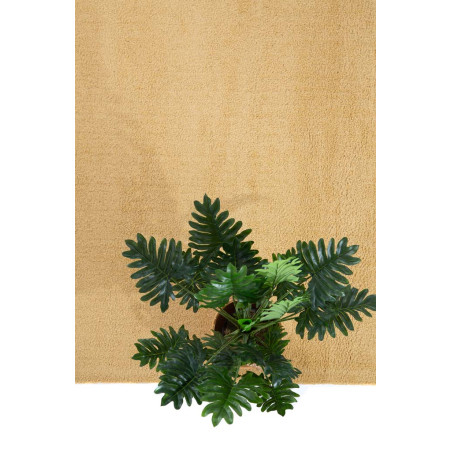 Χαλί Διάδρομος Royal Carpet Lilly 301 080 80x150