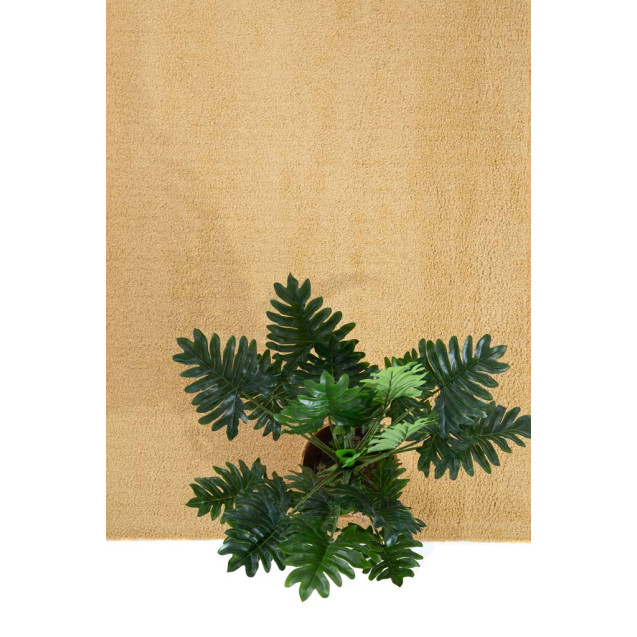 Χαλί Royal Carpet Lilly 301 080 120x170