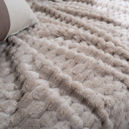 Σετ Ριχτάρια 2 Τεμαχίων Teoran Floppy 07 160x220