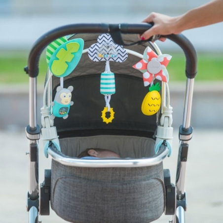 Μπάρα Δραστηριοτήτων Taf Toys Tropical Orchestra Arch T-12135