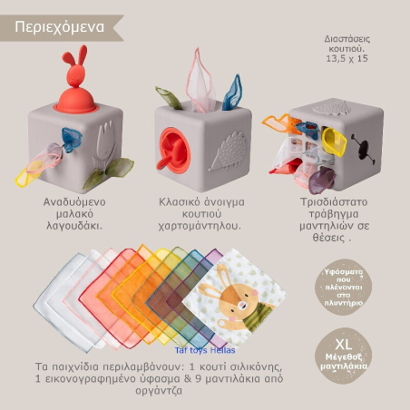Εκπαιδευτικό Παιχνίδι Δραστηριοτήτων Taf Toys Pop Up Tissue Box T-13405