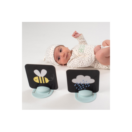 Παιχνίδι Δραστηριοτήτων Taf Toys My 1st Tummy-Time Cards  T-12835