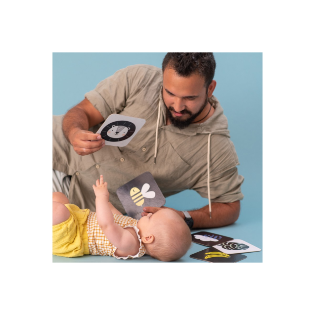 Παιχνίδι Δραστηριοτήτων Taf Toys My 1st...