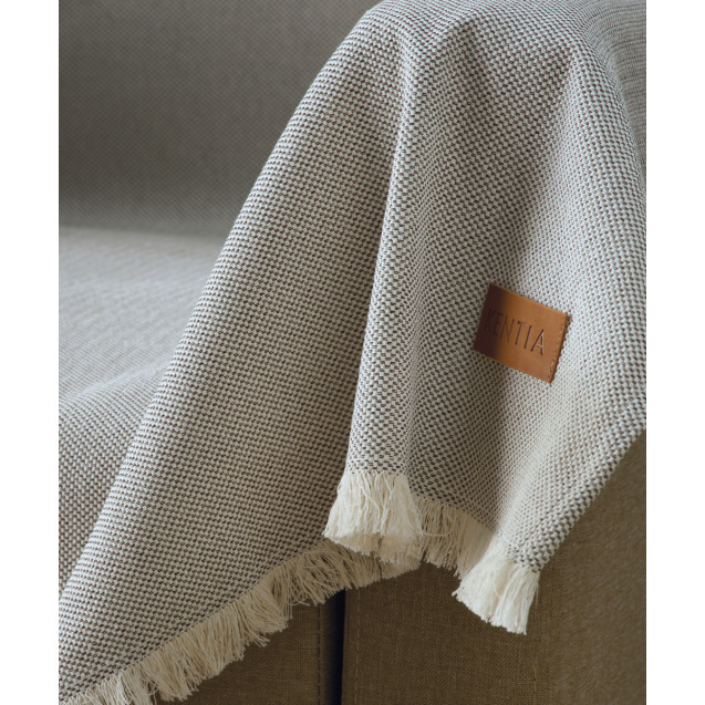 Ριχτάρι Διθέσιου Kentia Baron 12 180x240