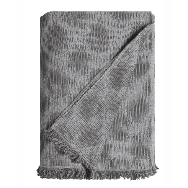 Ριχτάρι Τετραθέσιου Kentia Harvest 22 180x320